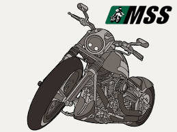 MSS